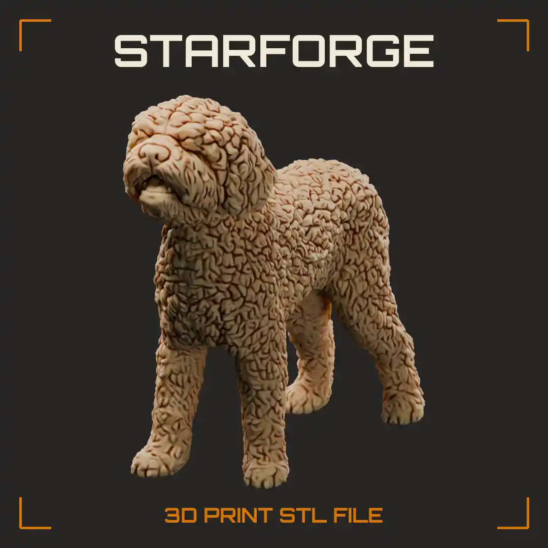 Lagotto Romagnolo Standing Profile with Dense Curly Coat Rounded Head Drop Ears and Tail