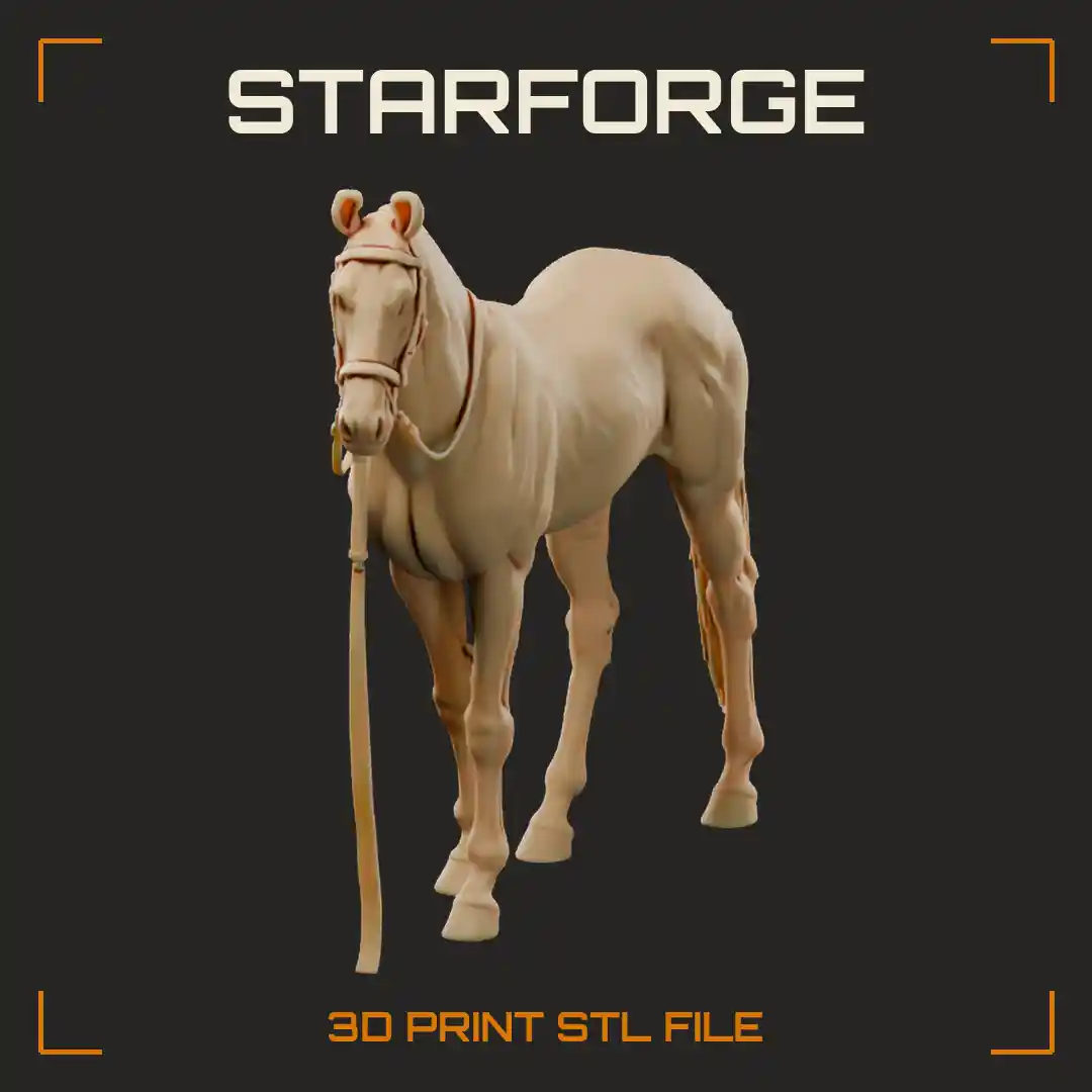 Marwari Horse Standing with Inward Curling Ear Tips Lean Legs and Long Tail