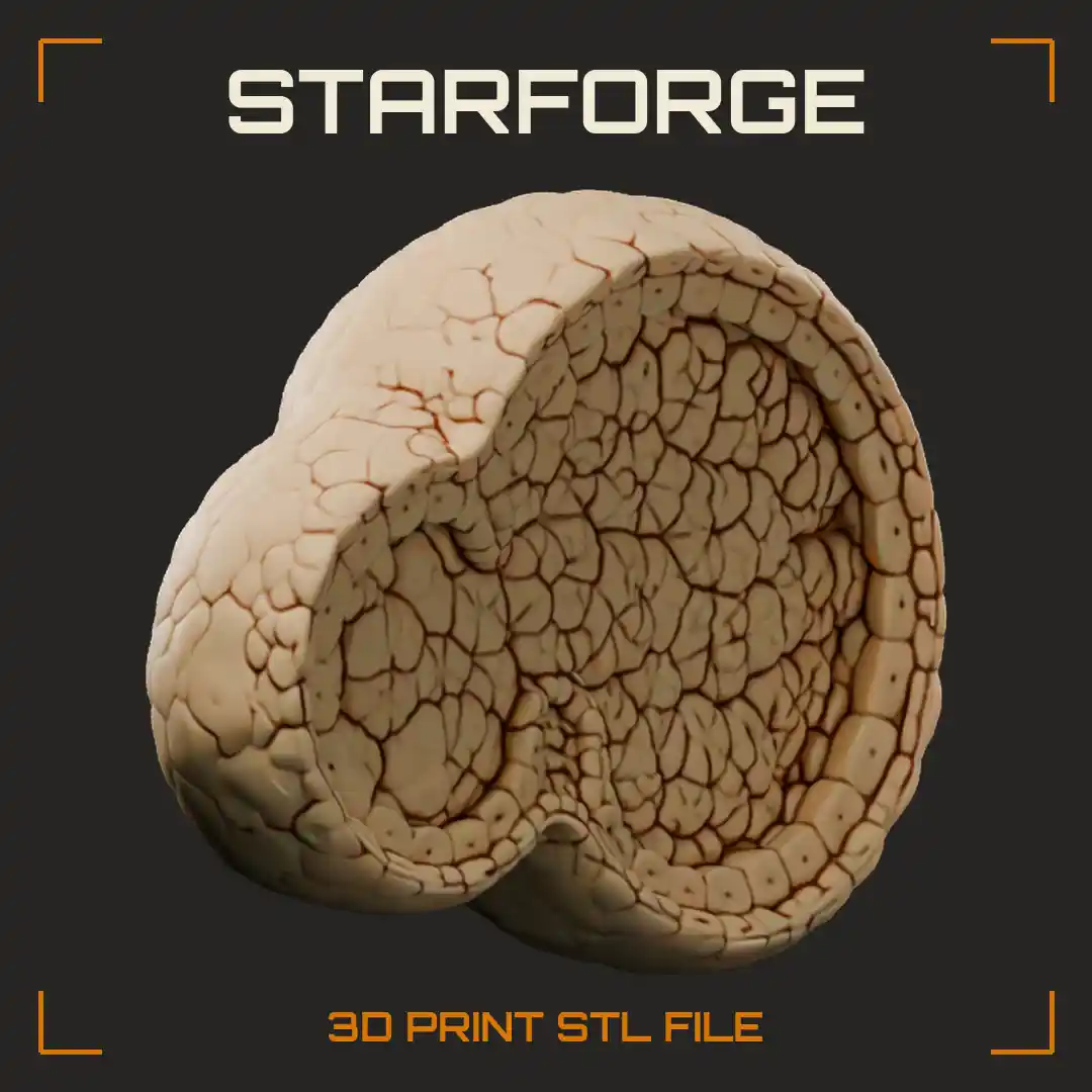 Michael Levin Bioelectricity Xenobot Spheroid Cross Section with Ciliated Outer Skin and Inner Cells - 3D Printable STL File