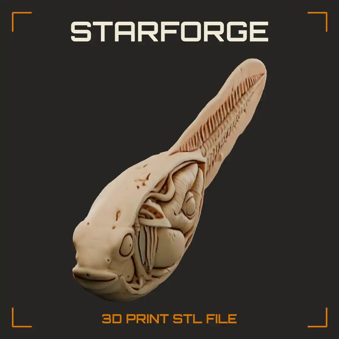 Michael Levin Bioelectricity Xenopus Tadpole Cutaway with Ectopic Eye Formed on the Gut - 3D Printable STL File