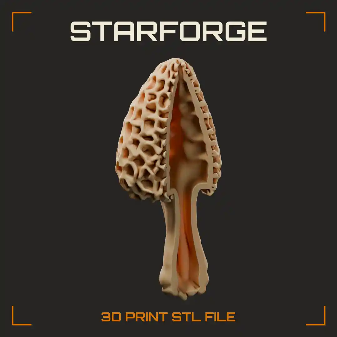 Morel Mushroom Cutaway with Honeycomb Pitted Cap Hollow Interior and Hollow Stalk