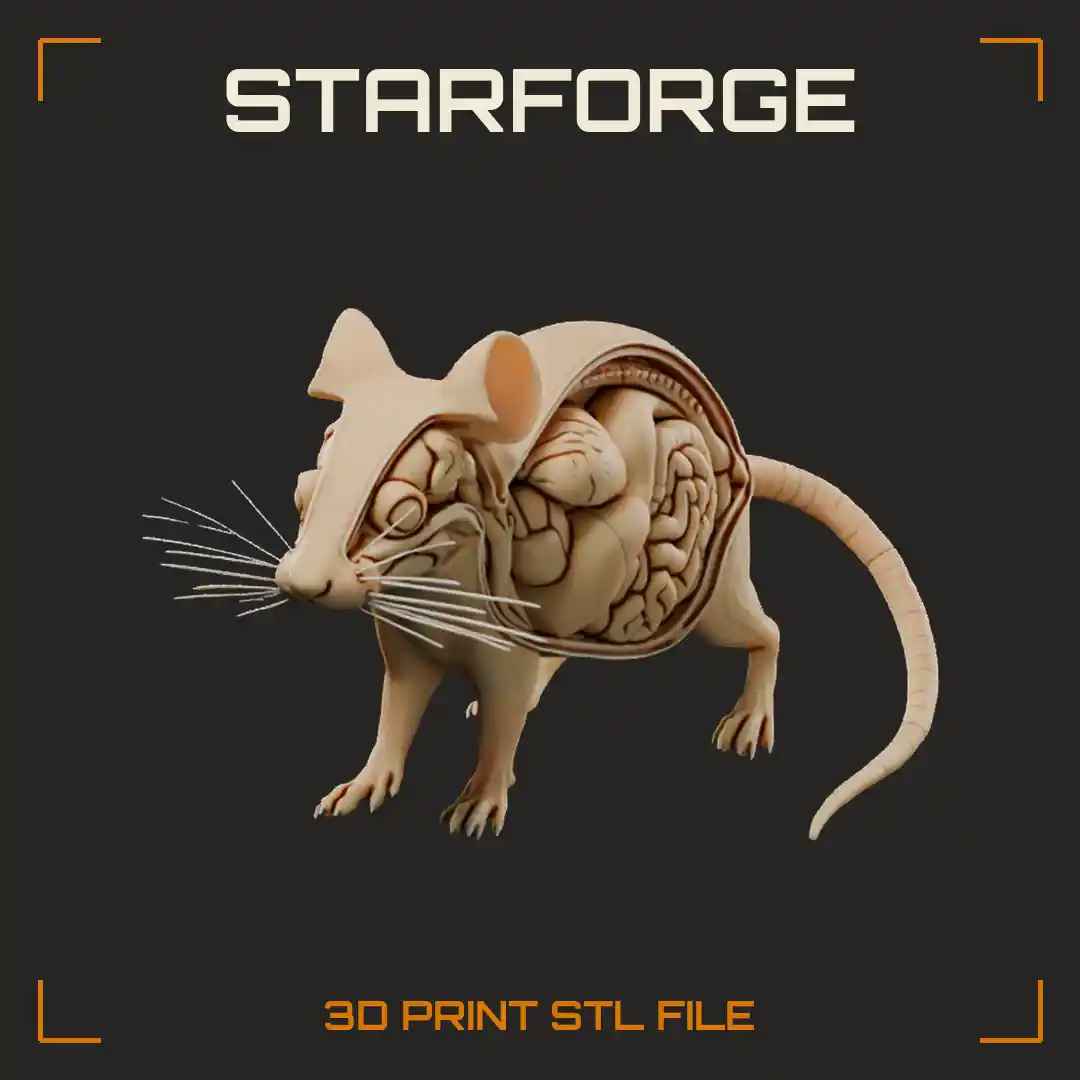 Mouse Internal Anatomy with Brain Heart Liver Stomach Coiled Intestines and Spine - 3D Printable STL File