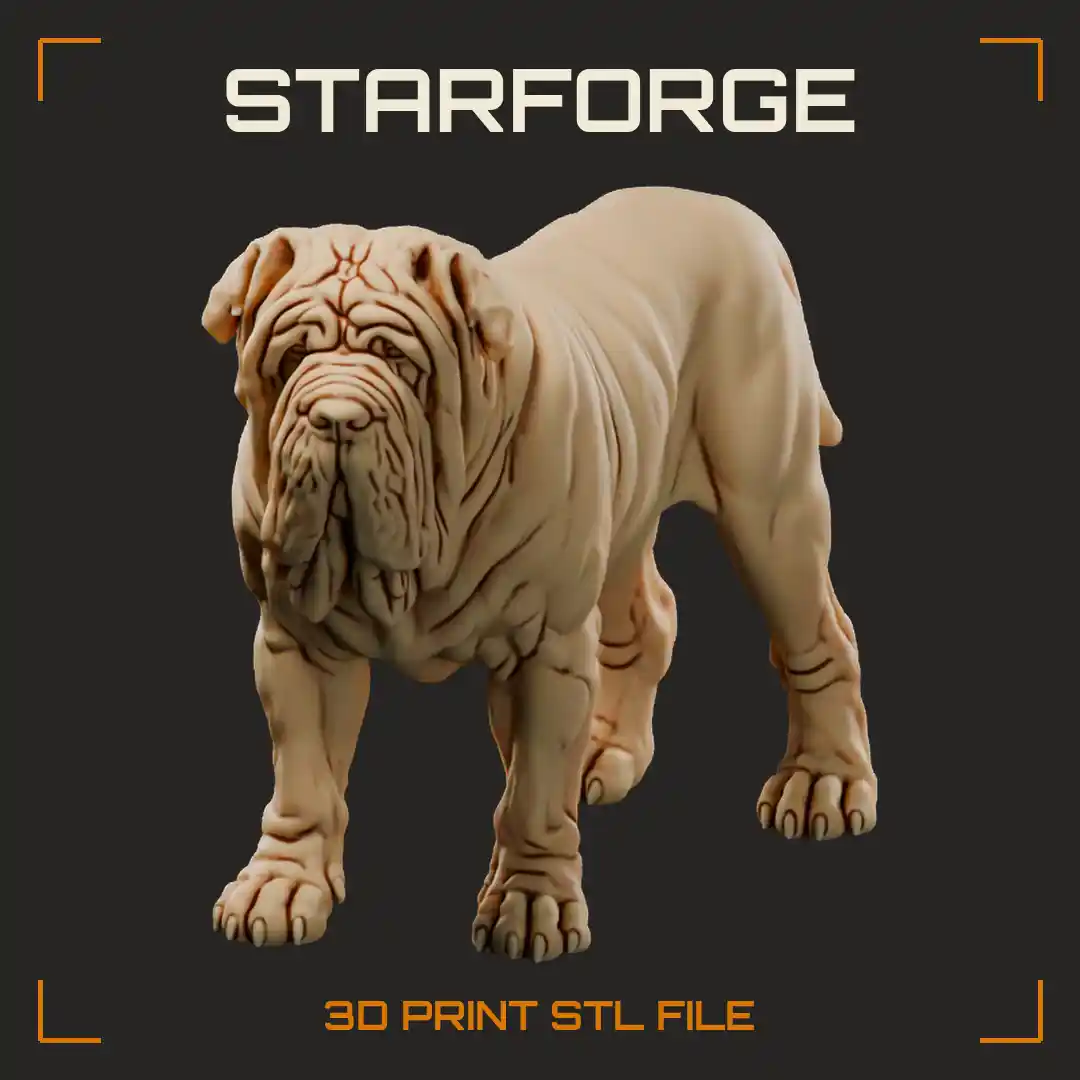 Neapolitan Mastiff Standing with Heavy Wrinkled Head Draping Jowls Dewlap and Massive Legs
