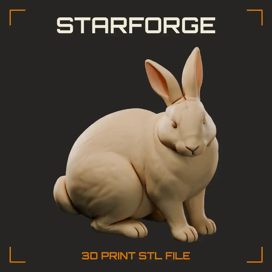 New Zealand Rabbit Sitting With Solid White Coat Broad Head Upright Ears And Full Haunches