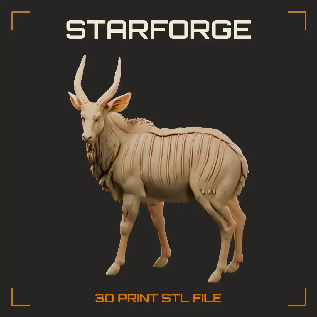 Nyala Bull Standing with Shaggy Grey Coat Yellow Legs and Spiral Ivory Tipped Horns
