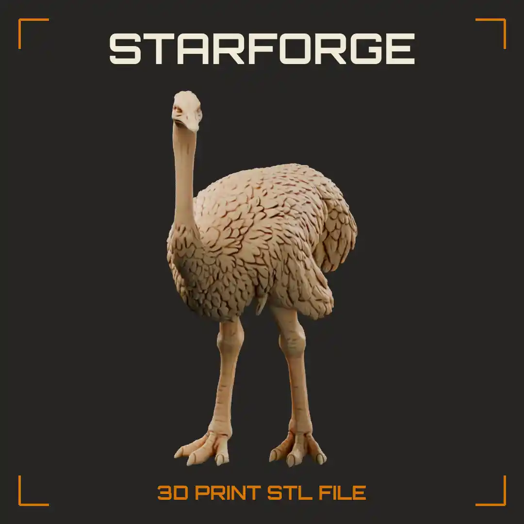 Ostrich Standing Bird Figure With Long Neck Two Toed Feet And Plumed Wings