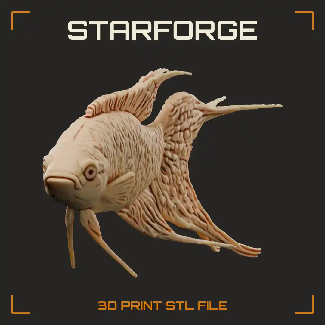 Paradise Fish Side View With Banded Body Long Forked Tail Streamers And Pointed Fins