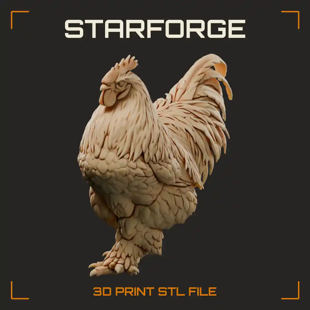 Partridge Cochin Chicken Rooster Walking with Feathered Legs Single Comb and Sickle Tail