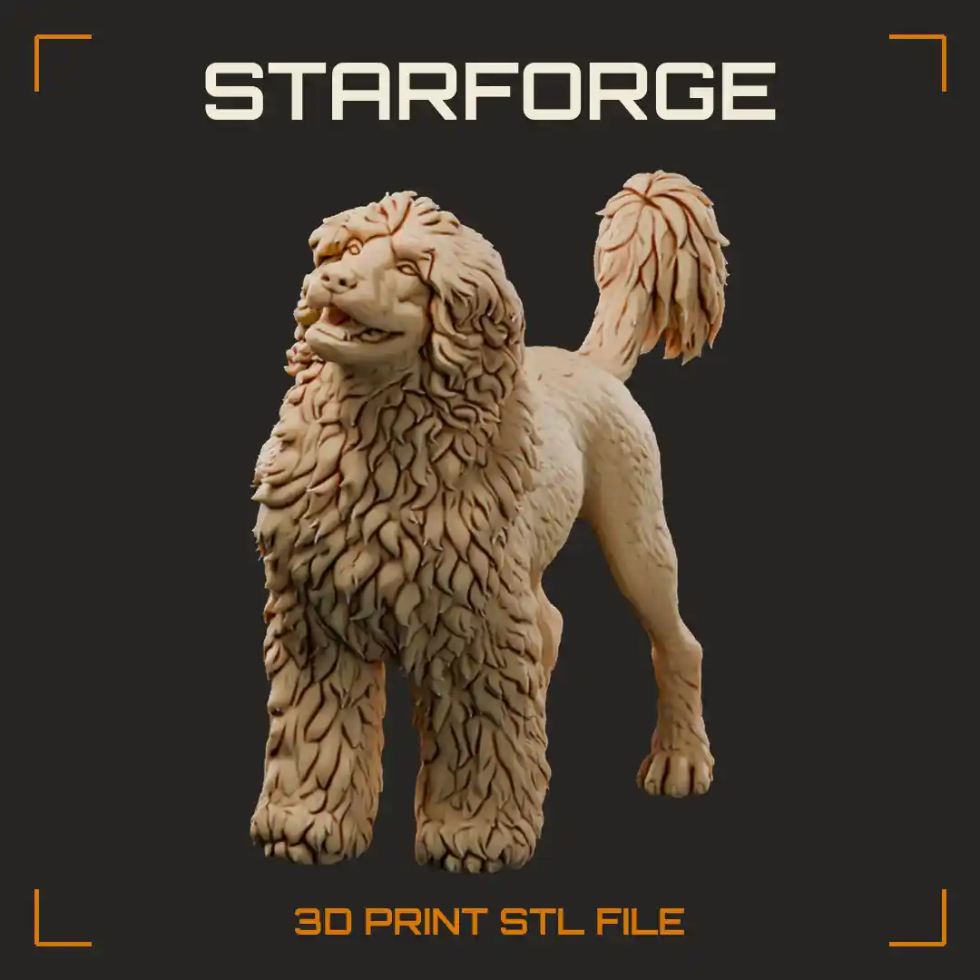 Portuguese Water Dog in Lion Clip with Curly Mane Shaved Hindquarters and Plumed Tail