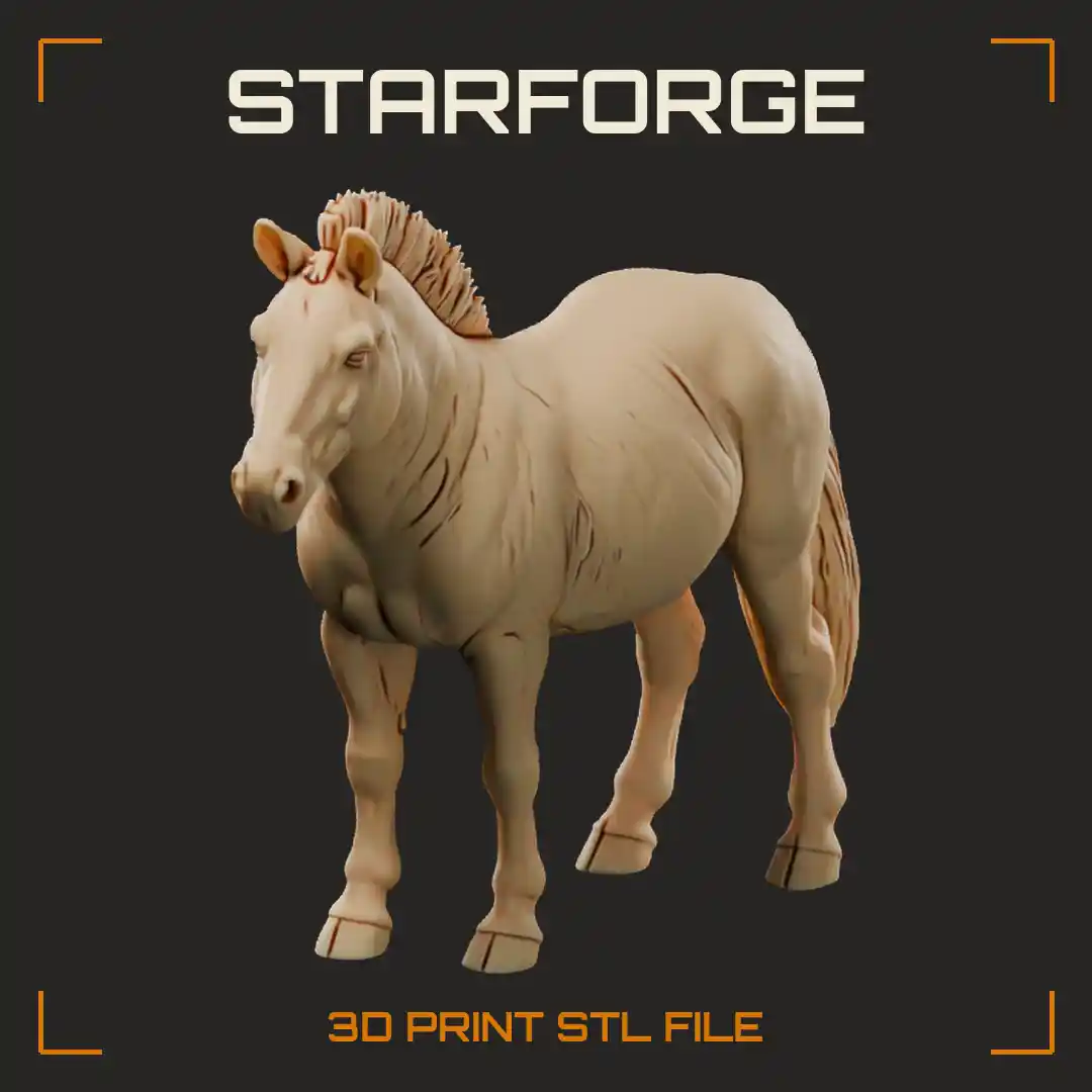 Przewalski Horse Standing with Upright Bristly Mane Pale Mealy Muzzle Stocky Body and Dark Legs