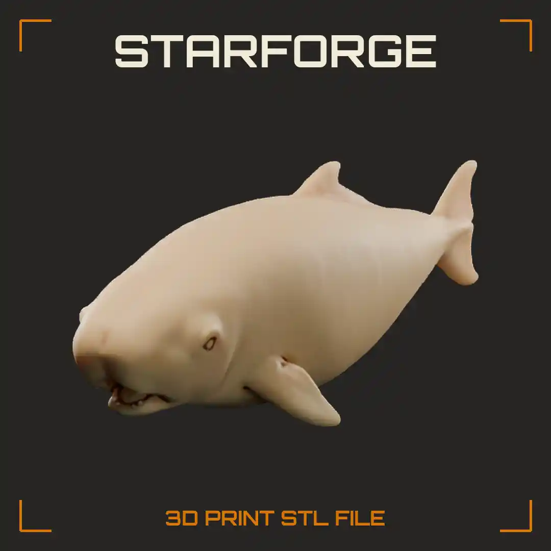 Pygmy Sperm Whale Swimming With Blunt Squared Head Underslung Jaw And Small Dorsal Fin