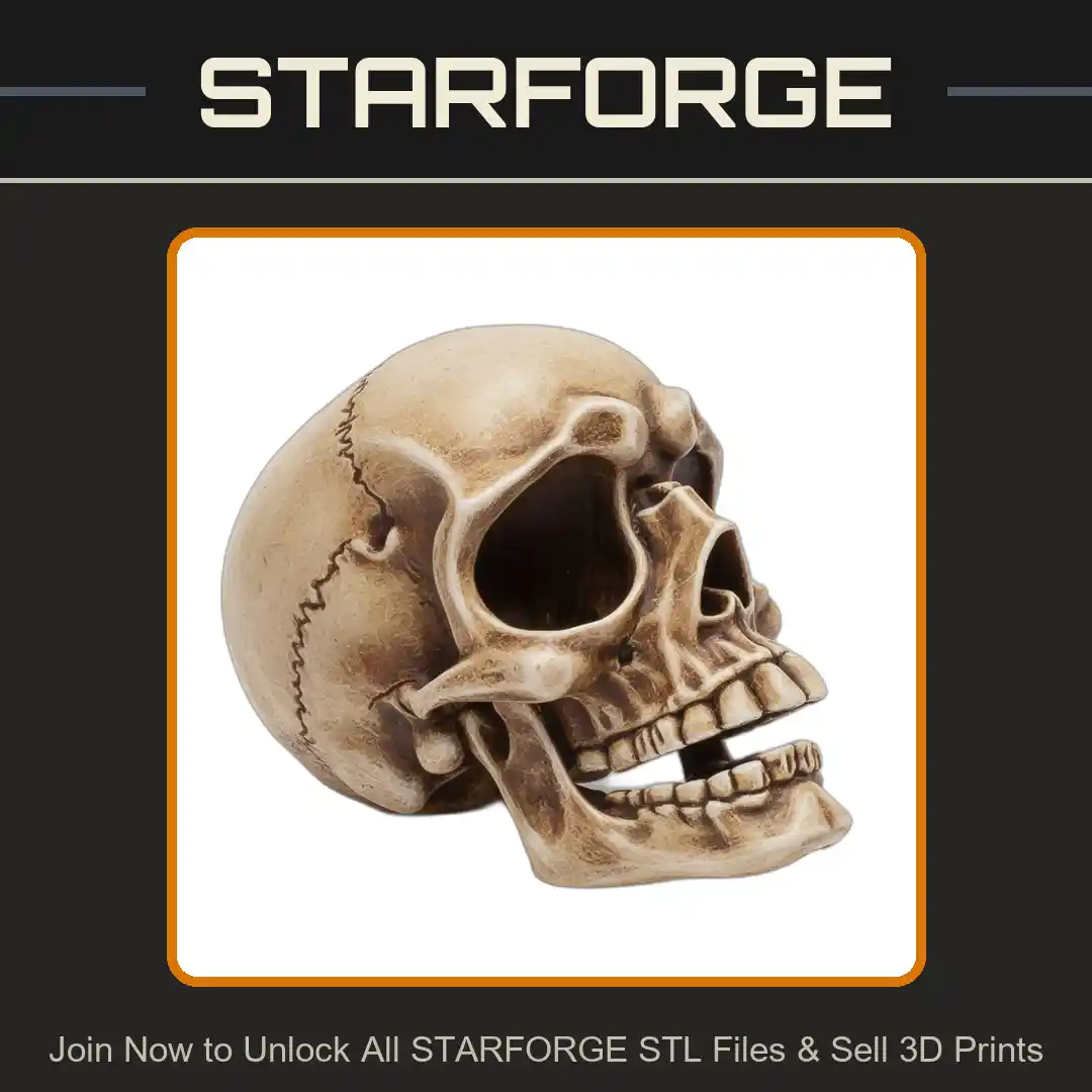 Realistic Human Skull Anatomical Model for Educational Display - 3D Printable STL File