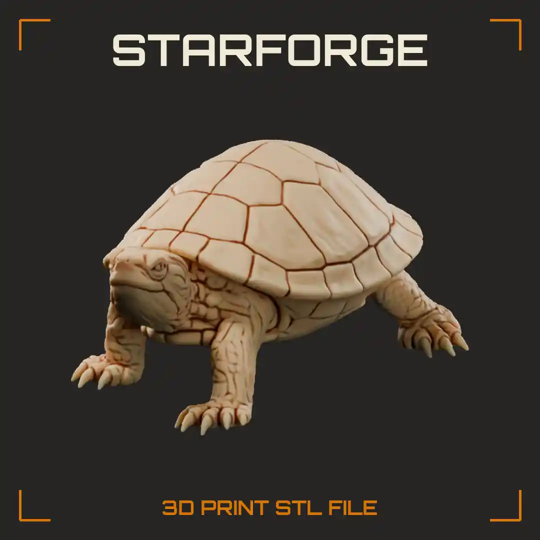 Red Eared Slider Turtle Walking With Striped Head Ear Patch And Smooth Oval Shell