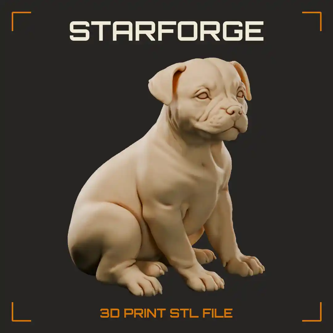 Red Staffordshire Bull Terrier Puppy Sitting with Broad Head Rose Ears and White Chest