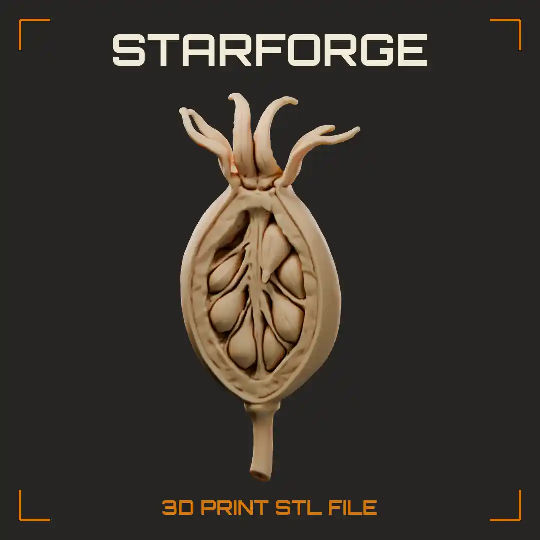 Rose Hip Cross Section with Fleshy Wall Achene Seeds Inner Fibers Sepals and Stalk - 3D Printable STL File