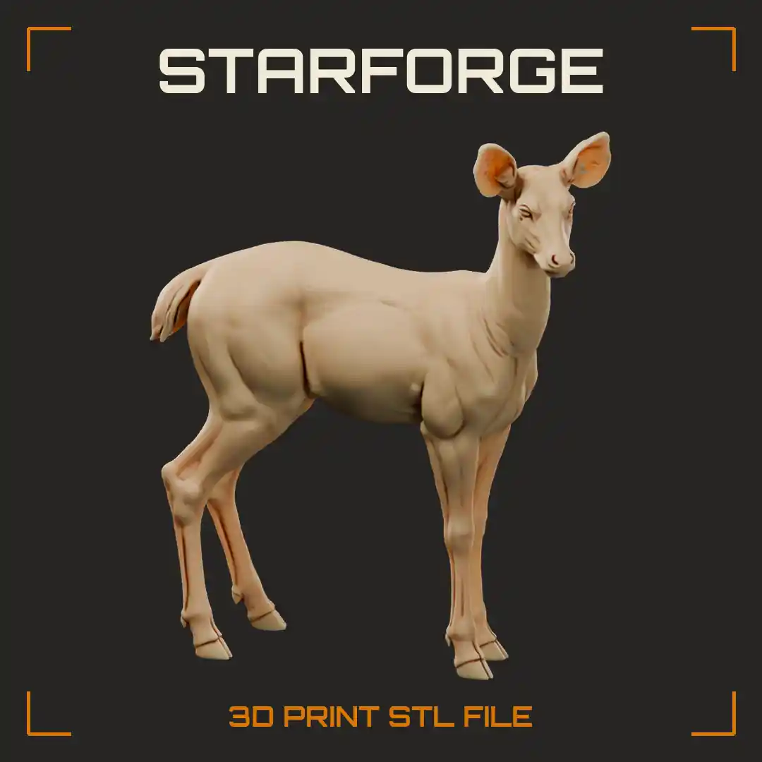 Sambar Deer Hind Standing Alert with Large Rounded Ears and Coarse Dark Coat