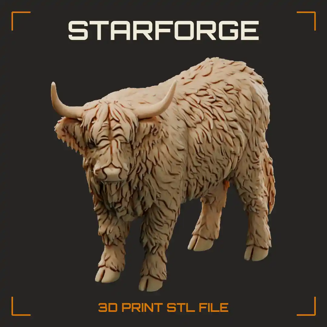 Shaggy Highland Cow Standing with Long Upswept Horns and Fringe Over Eyes