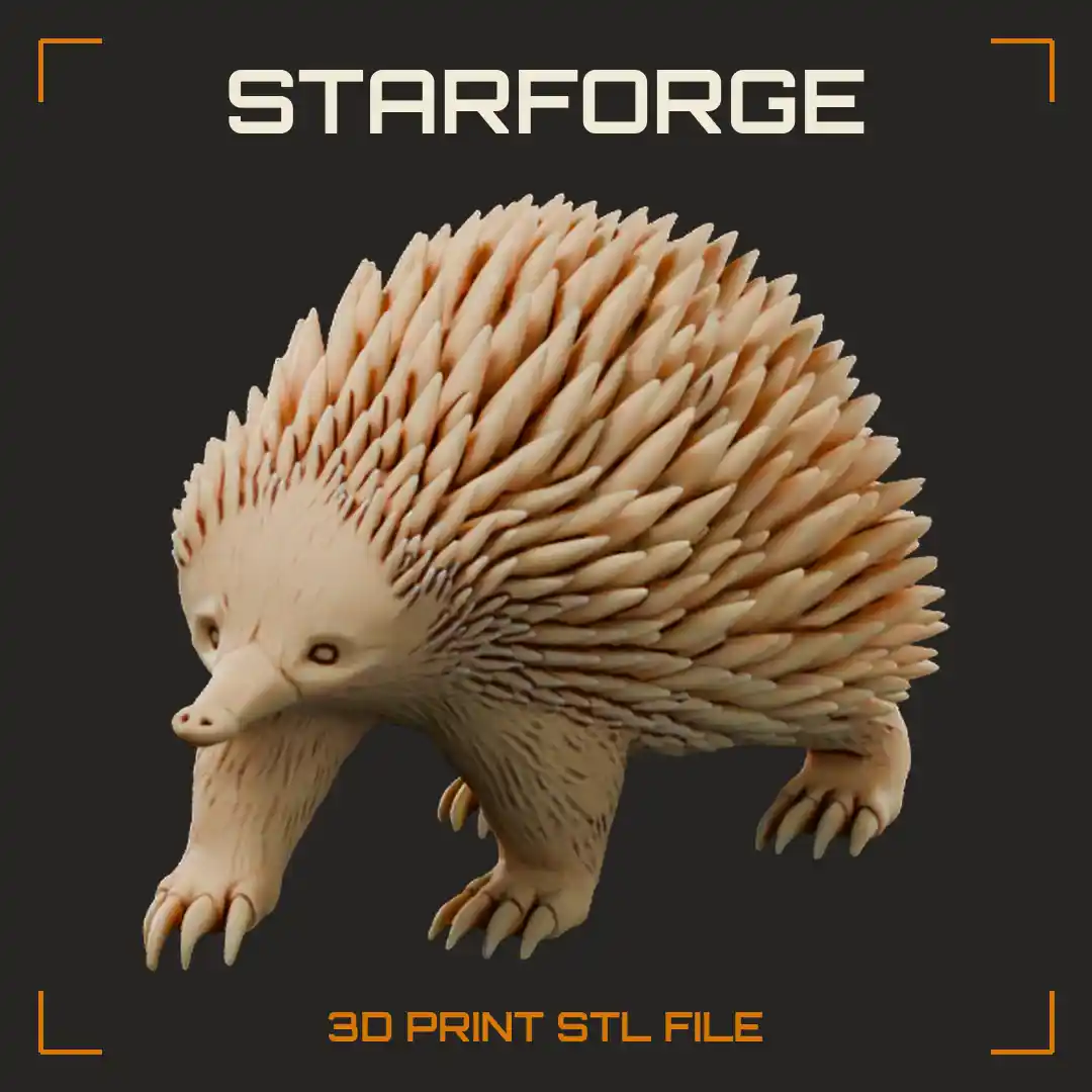 Short Beaked Echidna Walking with Dense Spines Narrow Snout and Strong Digging Claws