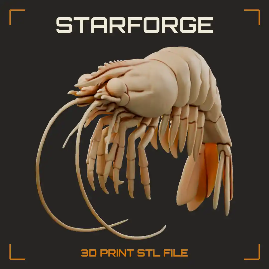 Shrimp Anatomy with Rostrum Carapace Walking Legs Swimmerets Antennae and Tail Fan - 3D Printable STL File