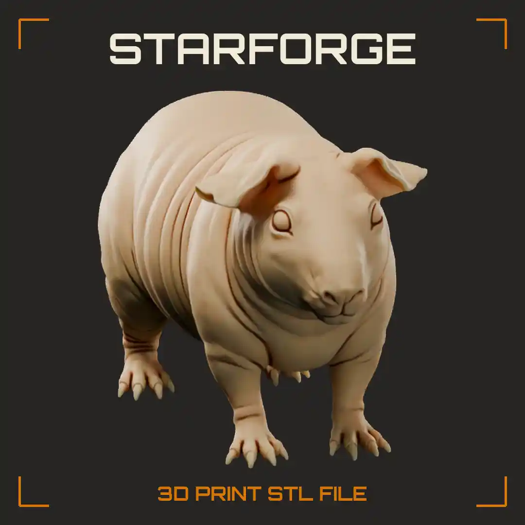 Skinny Pig Standing With Hairless Wrinkled Skin Furred Muzzle And Small Feet