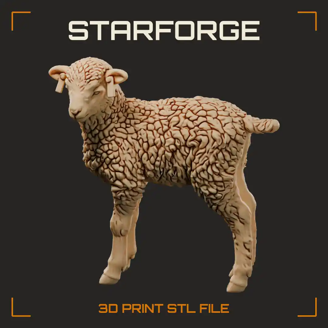 Soay Sheep Lamb Standing with Curly Brown Fleece Pale Muzzle Ear Tags and Long Legs