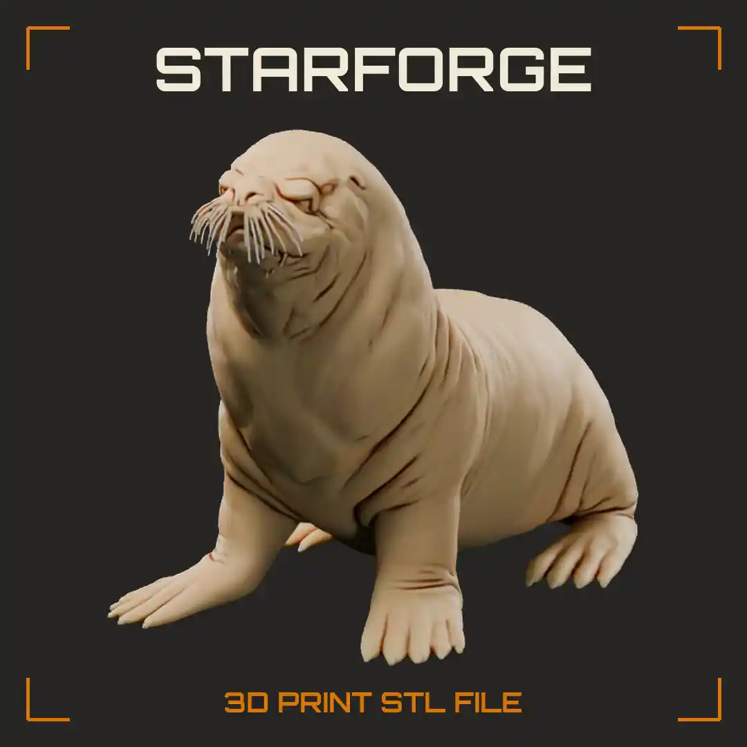 South American Sea Lion Bull Sitting On Rock With Heavy Maned Neck And Foreflippers