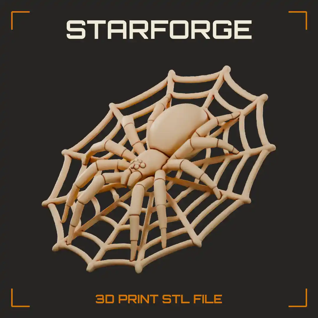 Spider on a Round Web Disc with Eight Jointed Legs Abdomen and Radial Silk Threads