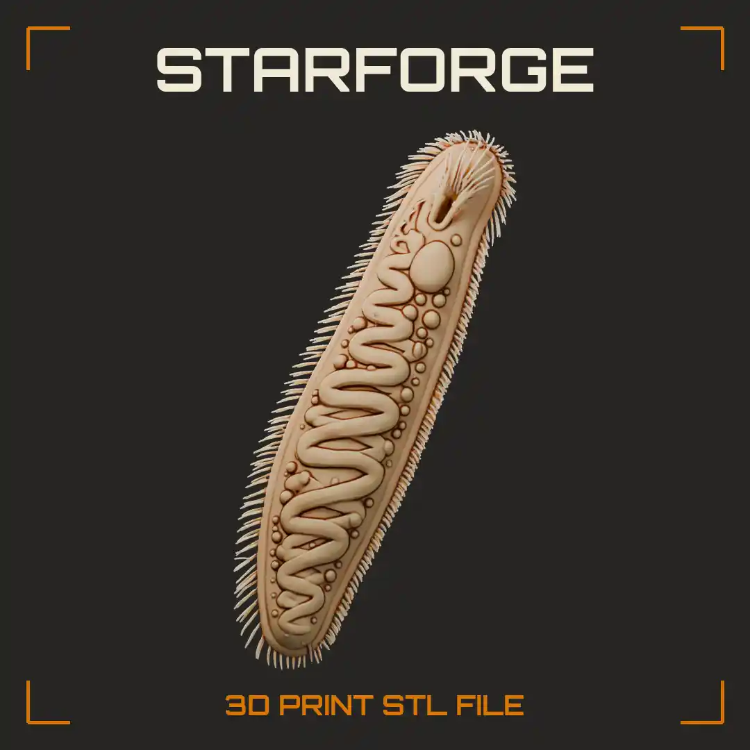 Spirostomum Giant Ciliate with Coiled Macronucleus Oral Groove Vacuoles and Dense Cilia Coat - 3D Printable STL File
