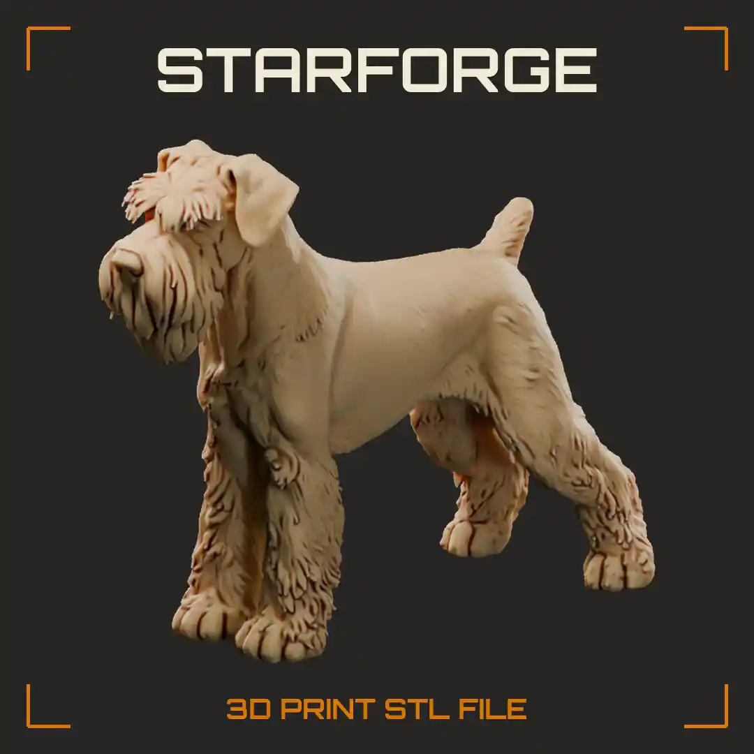 Standard Schnauzer in Show Stance with Wiry Pepper Coat Beard Furnished Legs and Upright Tail