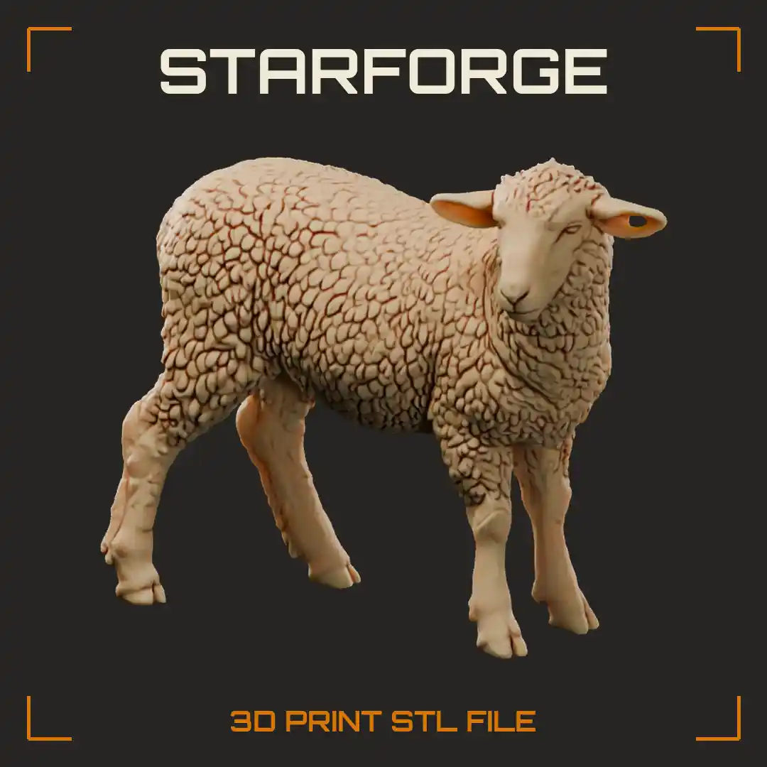 Suffolk Sheep Lamb Standing with Black Face Long Drooping Ears Woolly Body and Dark Legs