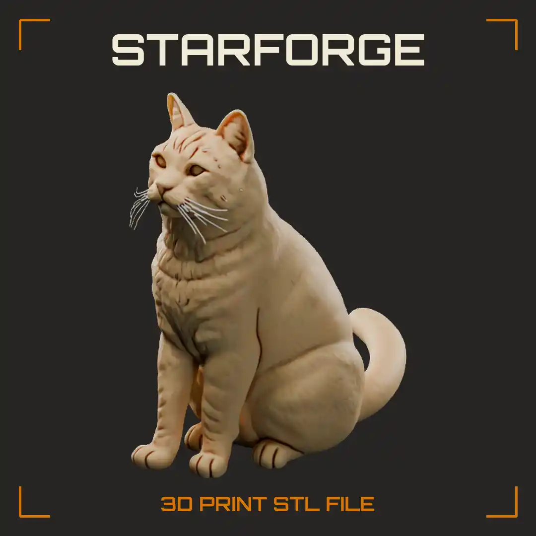 Tabby American Shorthair Cat Sitting Upright with Striped Coat Round Face and Neat Paws