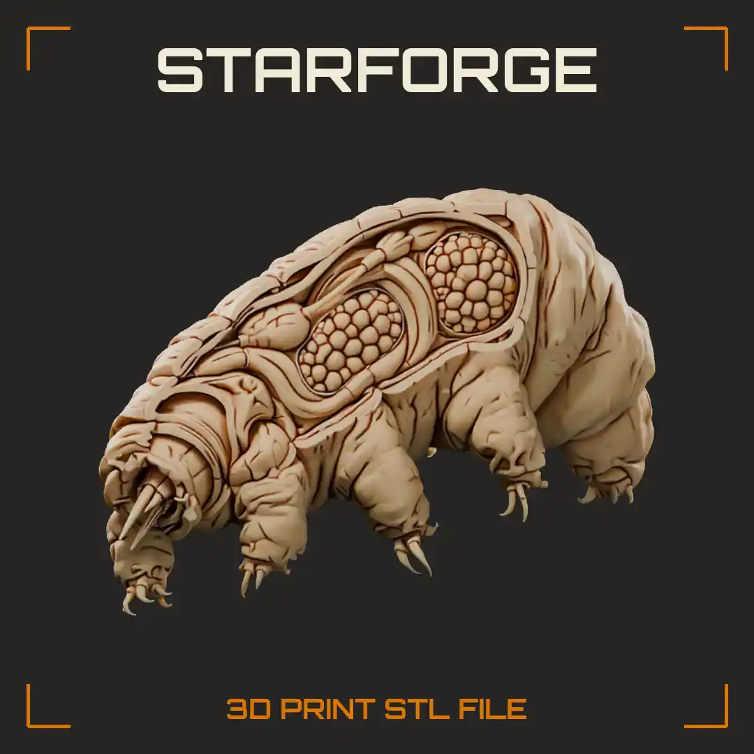 Tardigrade Water Bear Cutaway with Stylet Mouthparts Sucking Pharynx Midgut Storage Cells and Clawed Legs