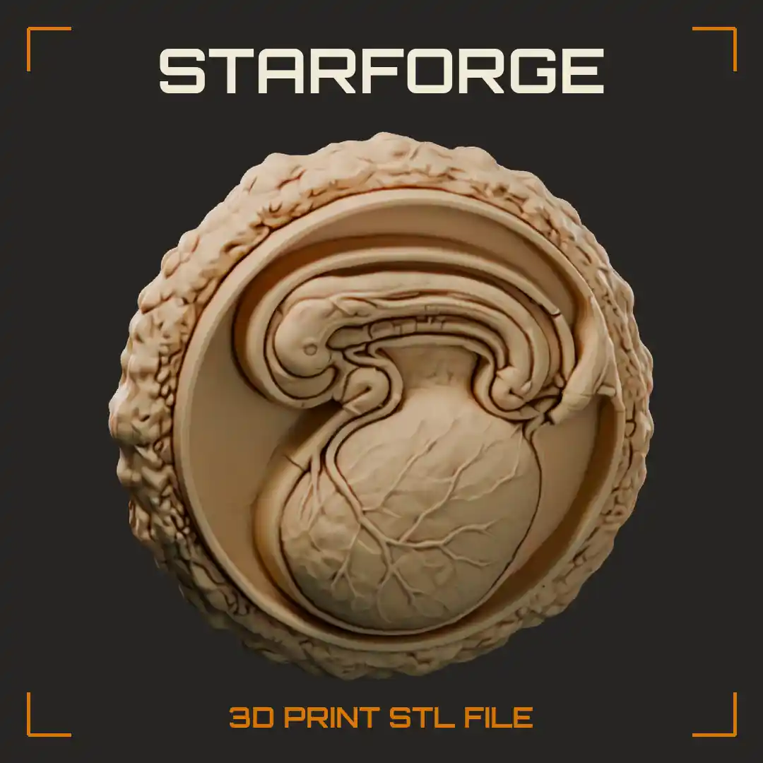 Three Week Human Embryo Sagittal Section with Yolk Sac Amnion Body Stalk Allantois and Foregut - 3D Printable STL File