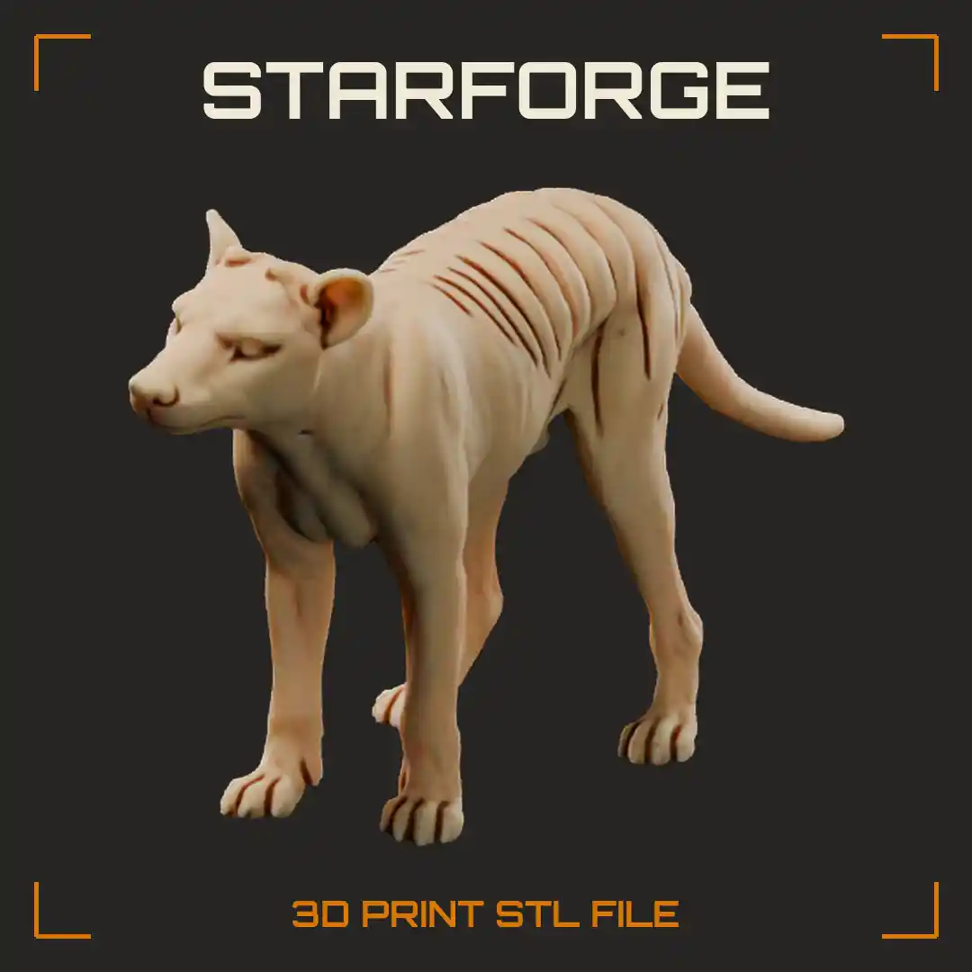 Thylacine Standing Side View with Striped Back Stiff Tapering Tail and Long Wolf Like Snout