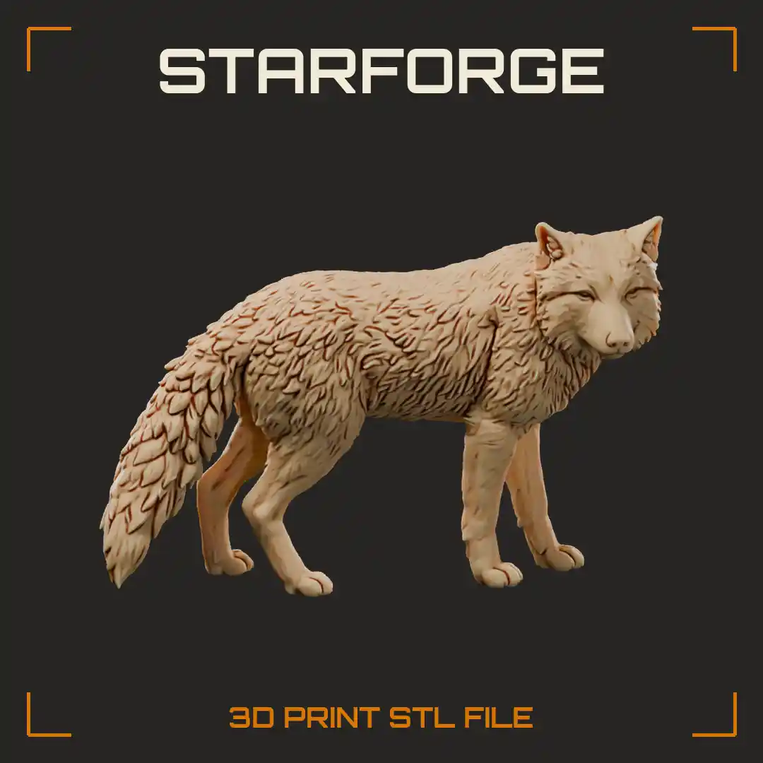 Tibetan Fox Standing with Broad Square Face Narrow Eyes Thick Coat and Bushy Tail
