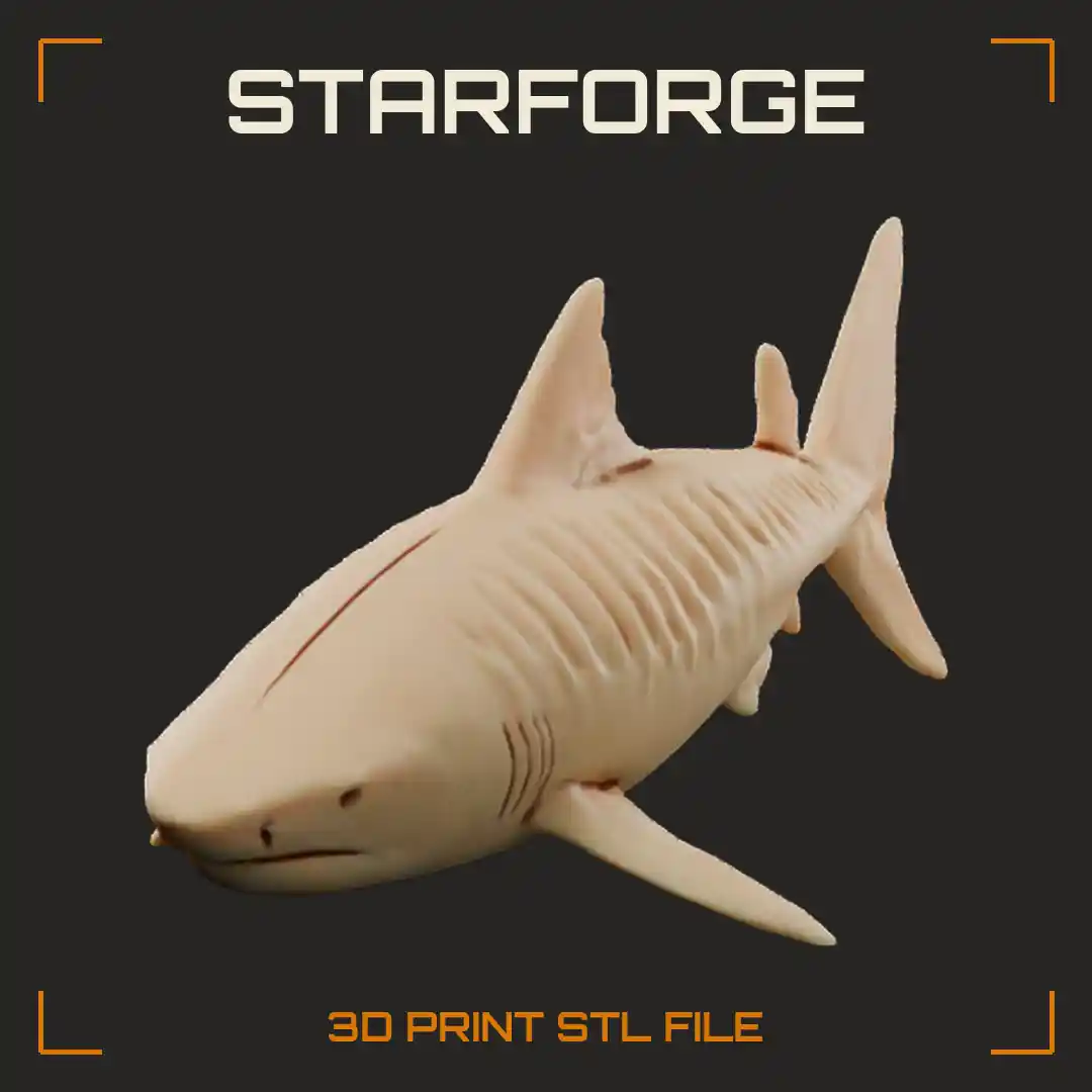 Tiger Shark Swimming with Striped Flanks Blunt Wide Snout and Tall Curved Dorsal Fin