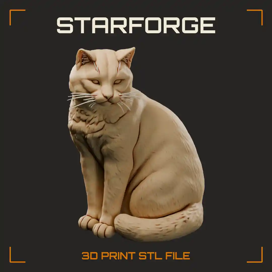 Tortoiseshell Cat Sitting Upright With Mottled Black And Orange Coat And Long Tail