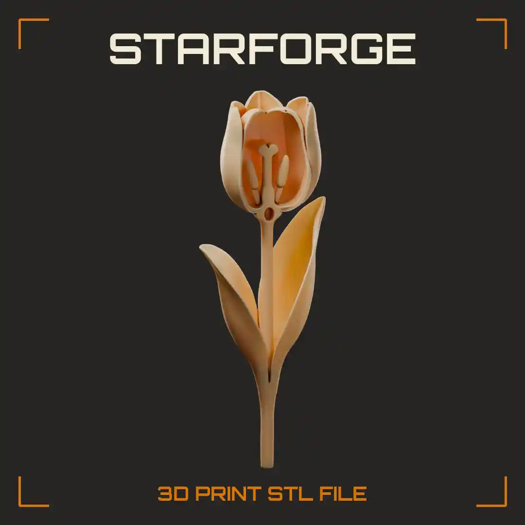 Tulip Flower Cutaway with Cupped Tepals Stamens Anthers Stigma Style Ovary and Leaves - 3D Printable STL File