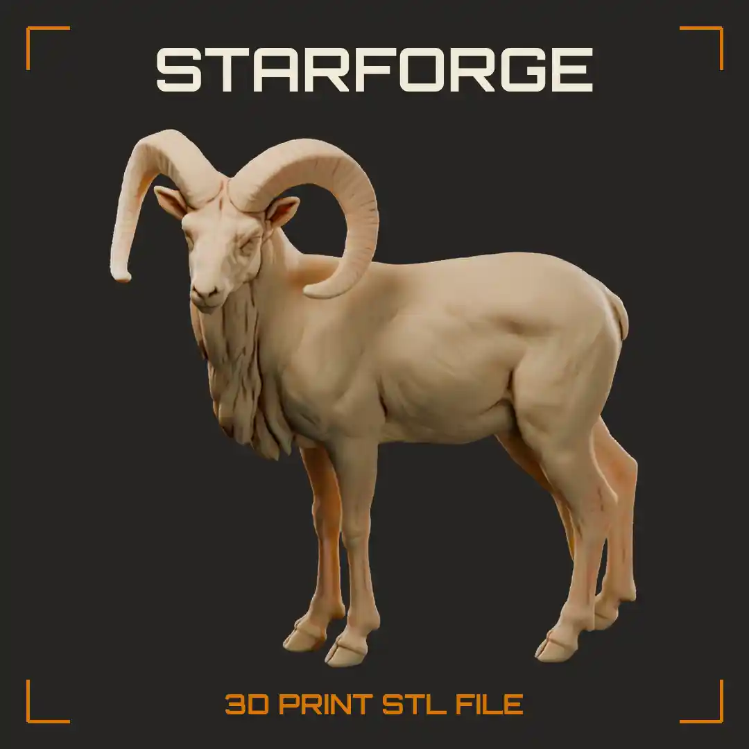 Urial Ram Standing with Curled Horns White Throat Bib and Black Neck Ruff