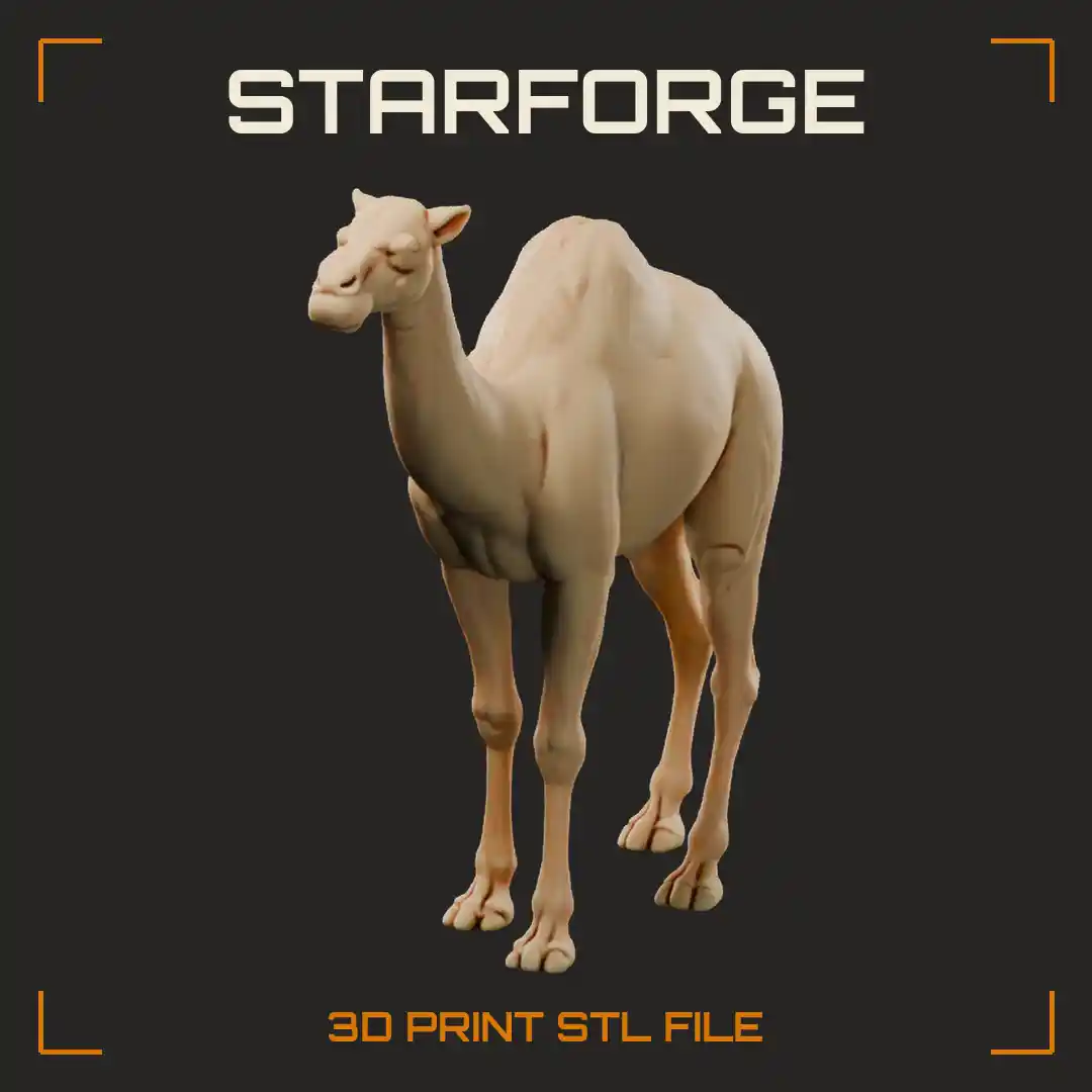 Western Camel Standing with Long Neck Single Hump Slender Legs and Short Tail