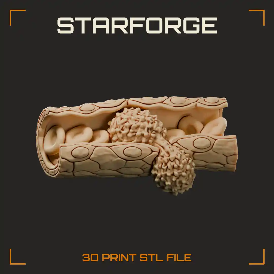 White Blood Cell Squeezing Through Capillary Wall Between Endothelial Cells into Tissue - 3D Printable STL File