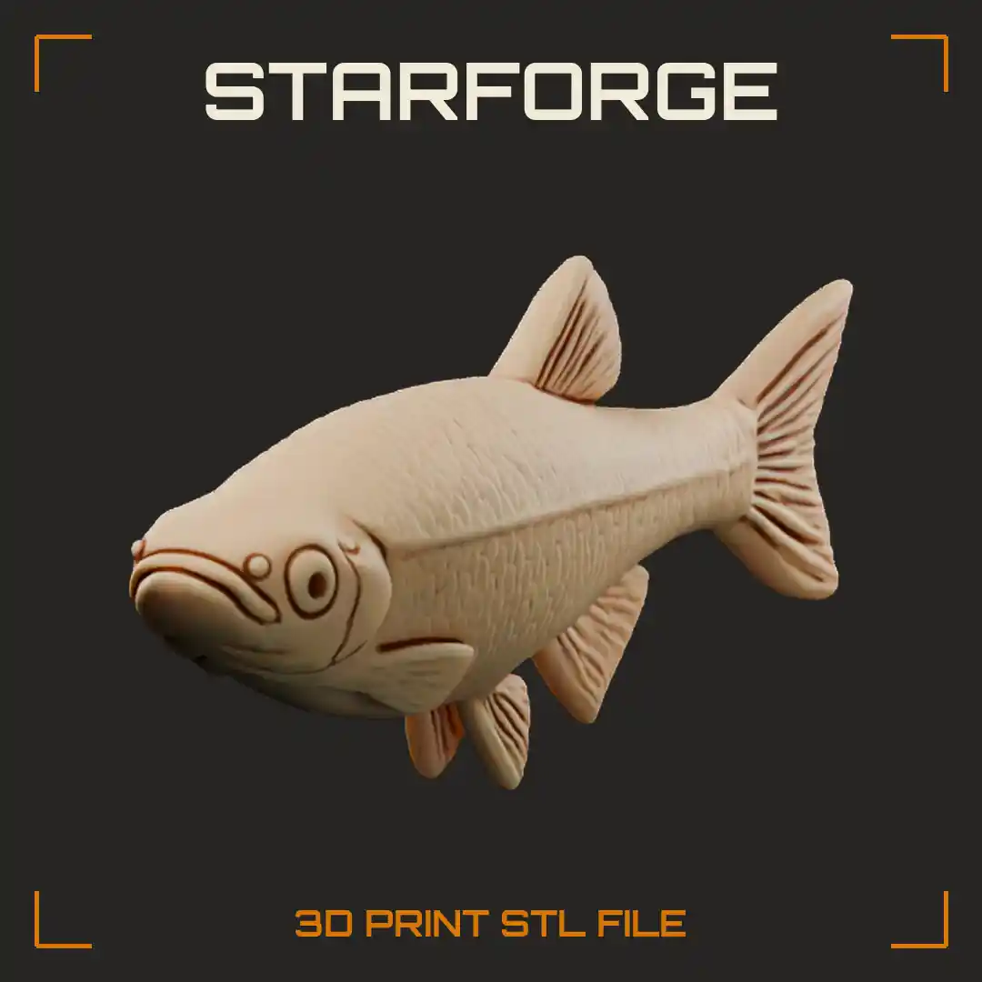 White Cloud Mountain Minnow Side View With Slim Body Lateral Line And Forked Tail Fin