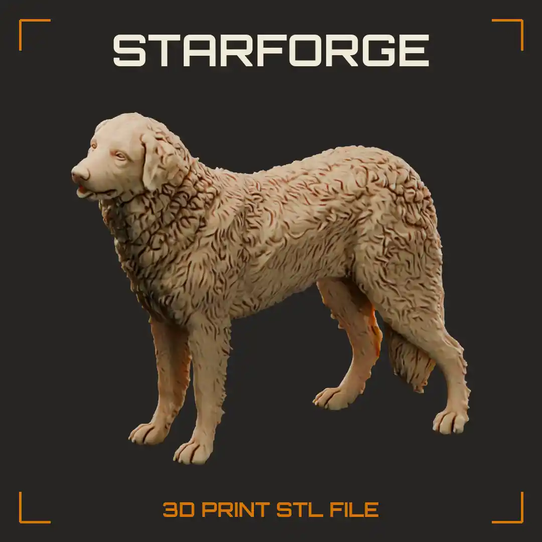 White Kuvasz Standing Profile with Wavy Coat Drop Ears Deep Chest and Low Tail