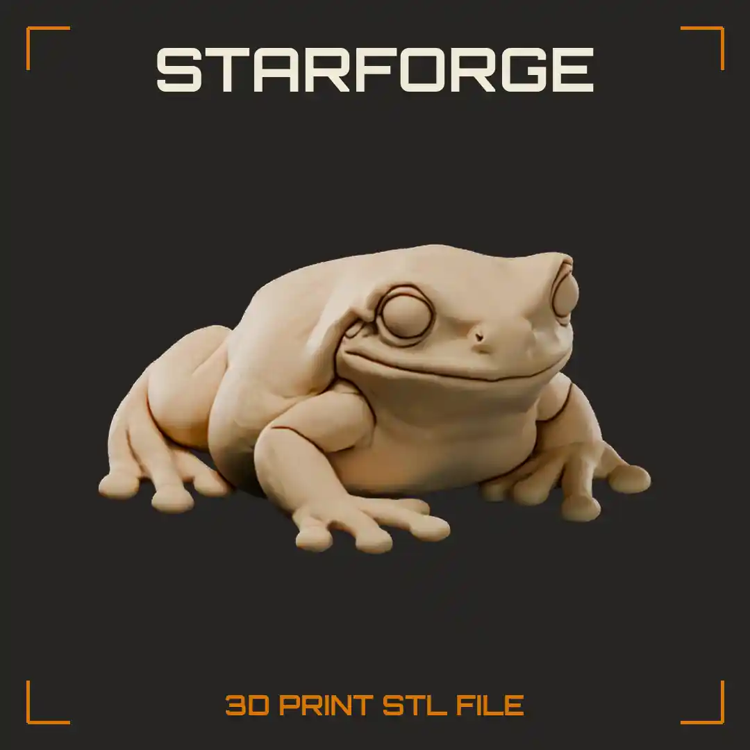 Whites Dumpy Tree Frog Sitting With Plump Folded Brow Big Eyes And Padded Toes