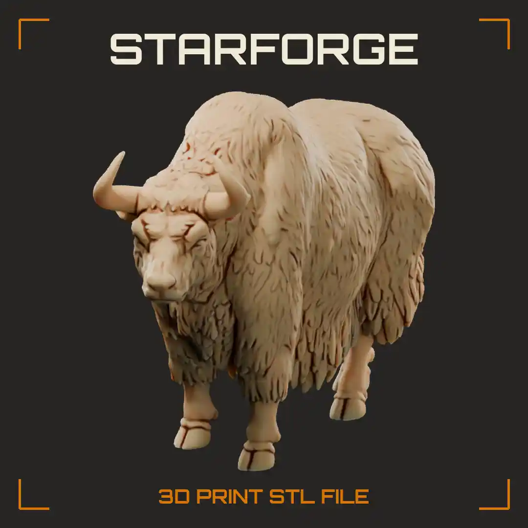 Wild Yak Bull Standing with Long Shaggy Skirt Coat Humped Shoulders and Curved Horns