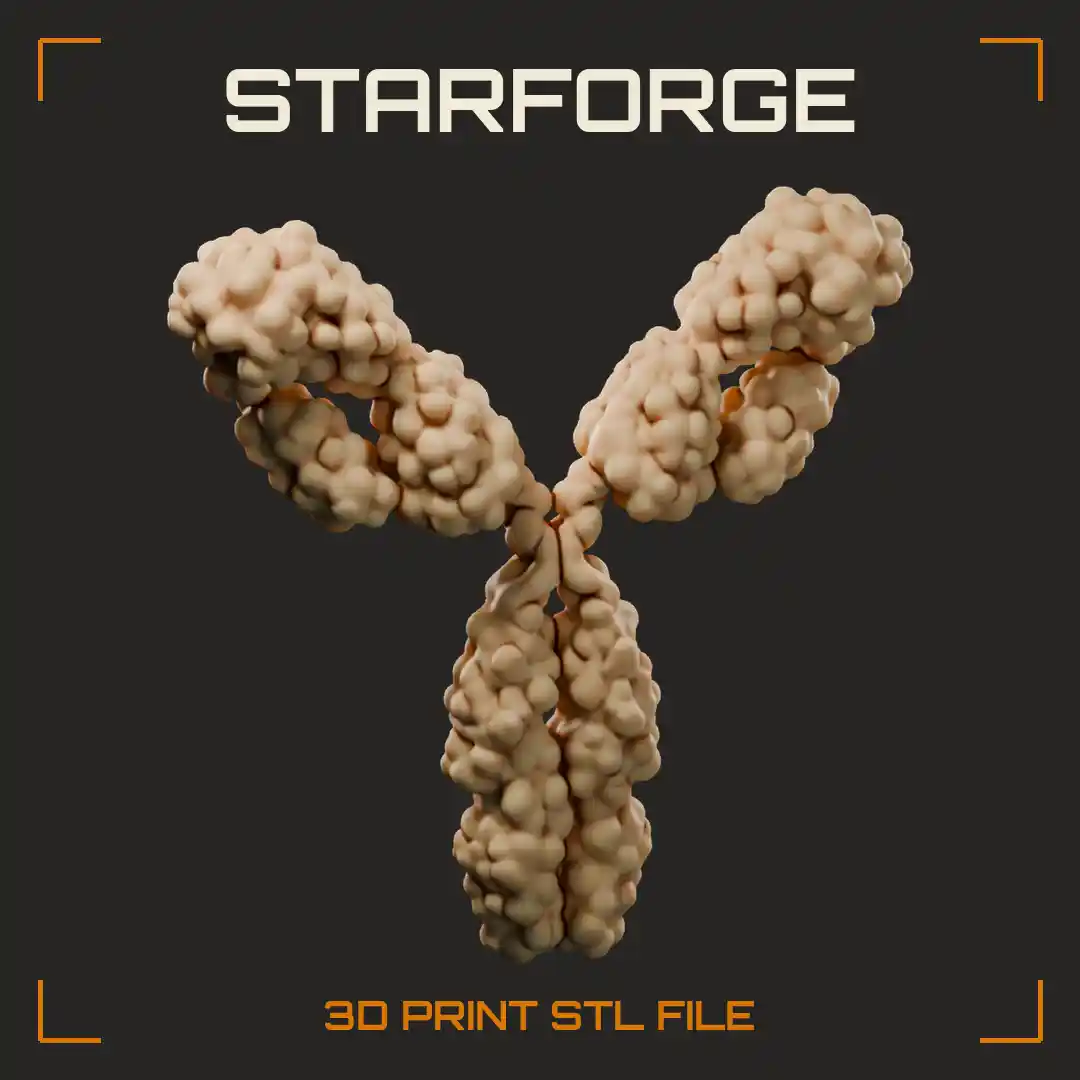 Y-Shaped IgG Antibody Structure with Heavy and Light Chains Hinge and Antigen Binding Sites - 3D Printable STL File