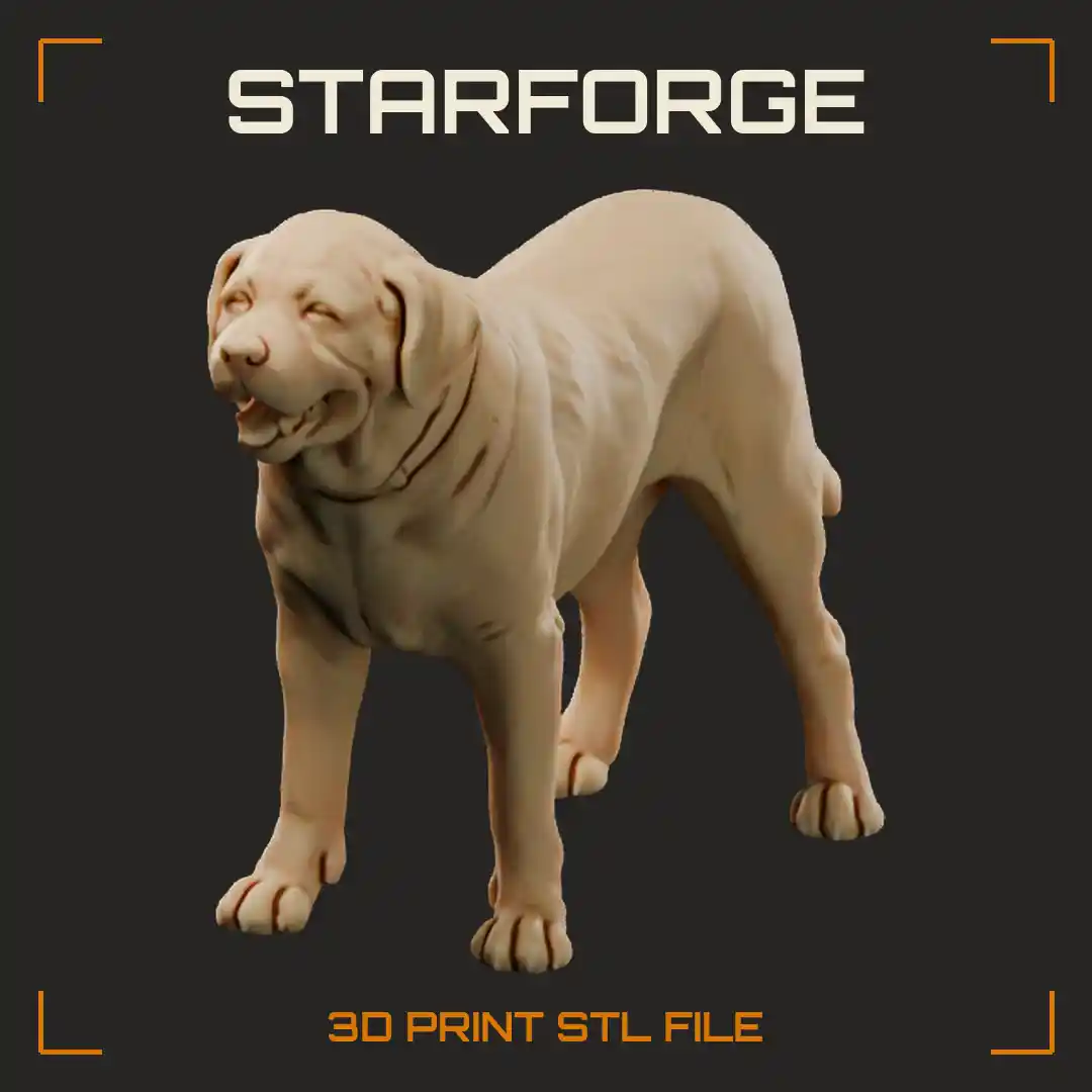 Yellow Labrador Retriever Standing with Otter Tail Broad Head and Short Dense Coat - 3D Printable STL File