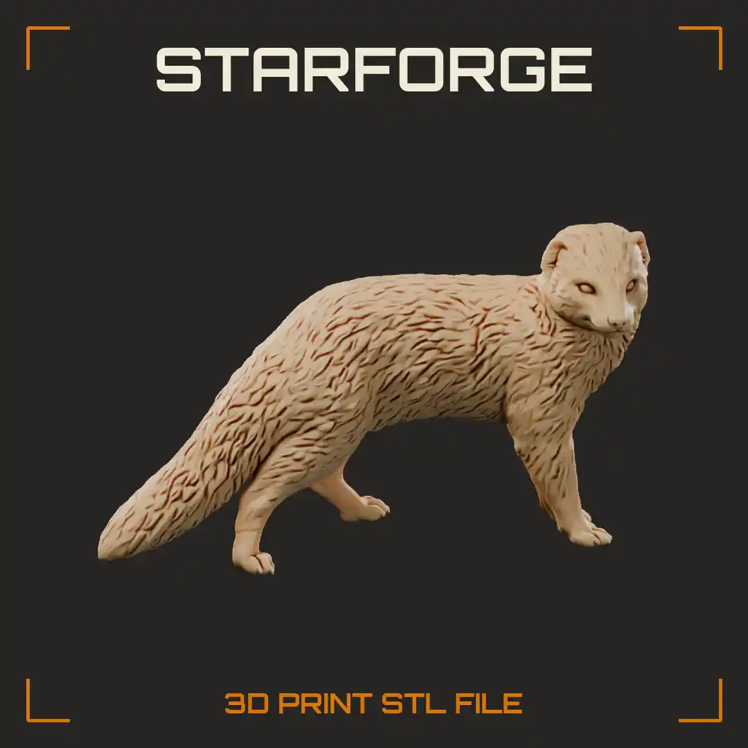 Yellow Mongoose Standing on Sand with Long Low Body Rounded Ears and Bushy Pale Tail